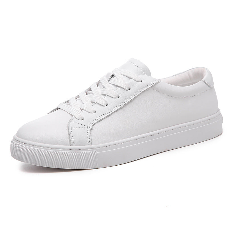 THE NIGHTLIFE SNEAKERS