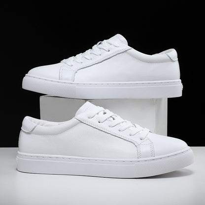 THE NIGHTLIFE SNEAKERS