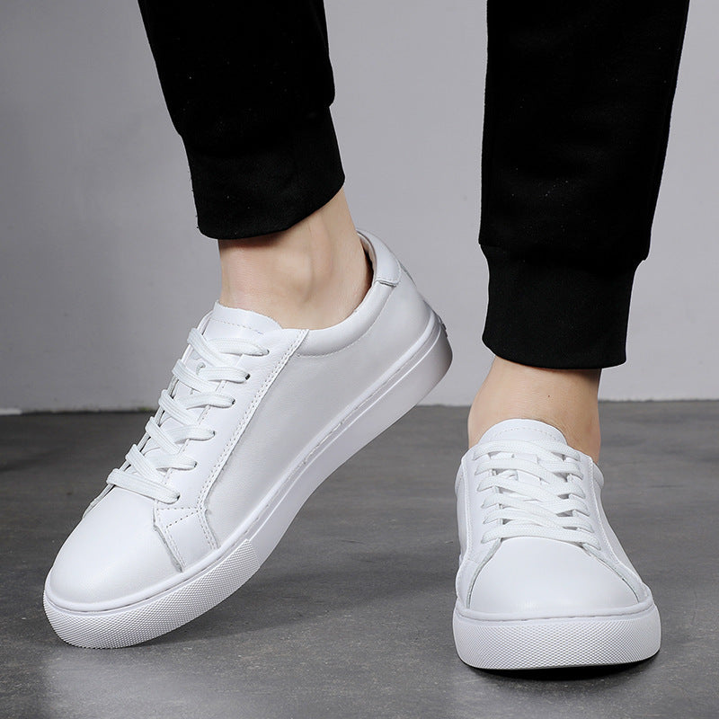 THE NIGHTLIFE SNEAKERS