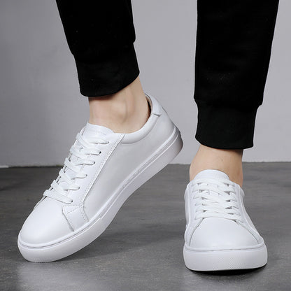 THE NIGHTLIFE SNEAKERS