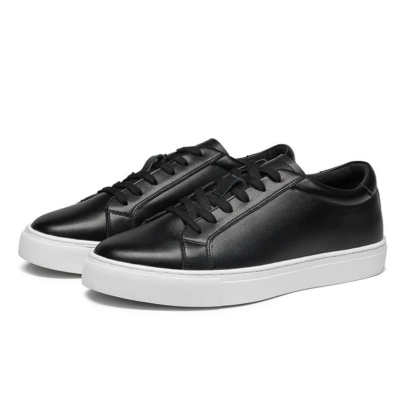 THE NIGHTLIFE SNEAKERS