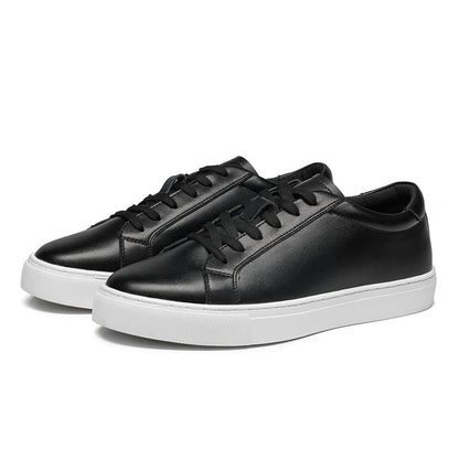 THE NIGHTLIFE SNEAKERS
