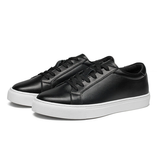 THE NIGHTLIFE SNEAKERS